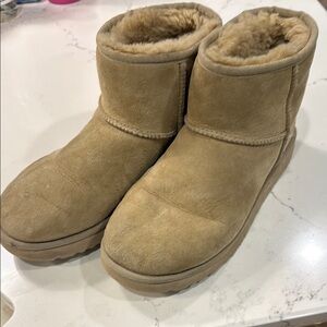 UGG Classic Tan Shearling Boots